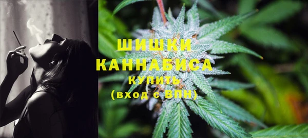 стаф Белокуриха