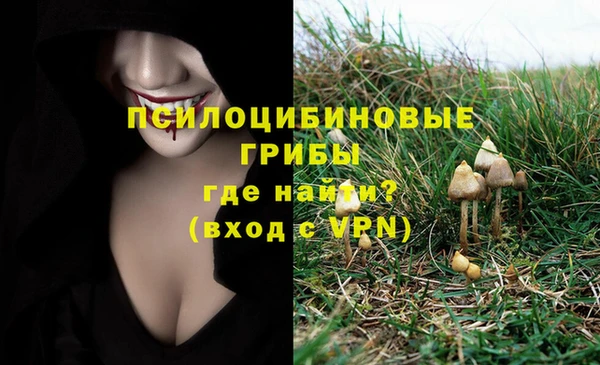 spice Белоозёрский