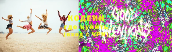 стаф Белокуриха