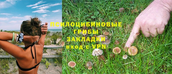 стаф Белокуриха